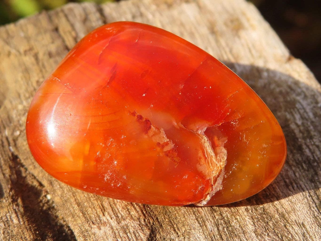 Polished  Carnelian Agate Tumble Stones  x 1 Kg Lot From Madagascar - Toprock Gemstones and Minerals 