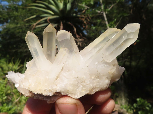 Natural Mixed Quartz Clusters  x 24 From Madagascar - TopRock