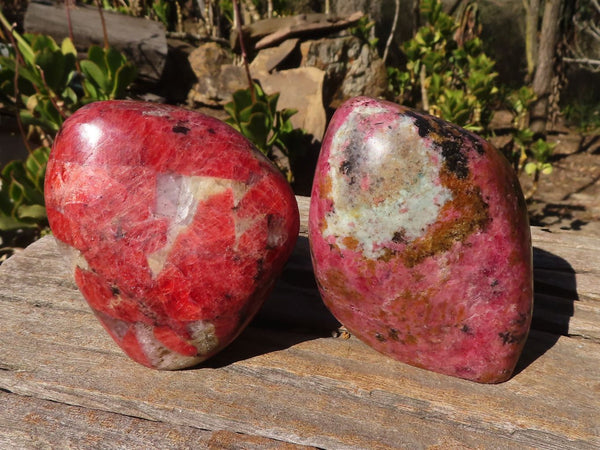 Polished Rare Red Rhodonite Standing Free Forms x 2 From Zimbabwe - Toprock Gemstones and Minerals 