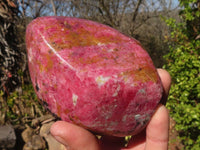Polished Rare Red Rhodonite Standing Free Forms x 2 From Zimbabwe - Toprock Gemstones and Minerals 