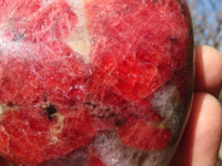 Polished Rare Red Rhodonite Standing Free Forms x 2 From Zimbabwe - Toprock Gemstones and Minerals 