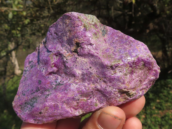 Natural Purple Stichtite With Green Serpentine Specimens  x 12 From Barberton, South Africa - TopRock