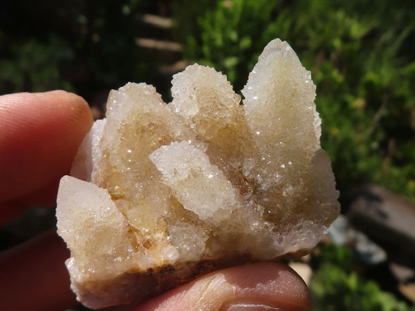 Natural White Fairy Spirit Quartz Crystals  x 59 From Boekenhouthoek, South Africa - Toprock Gemstones and Minerals 