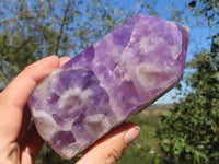 Polished Large Dream Amethyst Point  x 1 From Madagascar - TopRock
