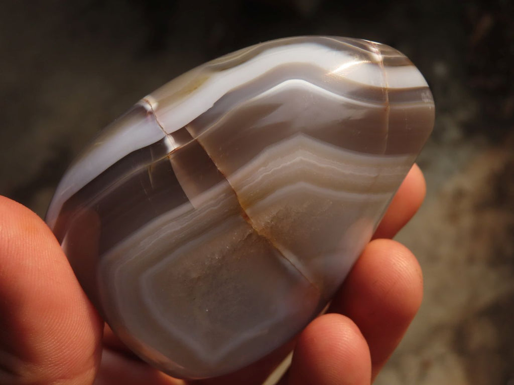 Polished Agate Standing Free Forms x 6 From Madagascar - Toprock Gemstones and Minerals 