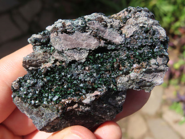 Natural Rare Copper Phosphate Libethenite On Dolomite Specimens x 6 From Shituru, Congo - TopRock