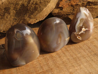 Polished Agate Standing Free Forms x 6 From Madagascar - Toprock Gemstones and Minerals 