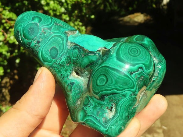Polished Malachite Free Forms With Stunning Flower & Banding Patterns x 2 From Congo - Toprock Gemstones and Minerals 