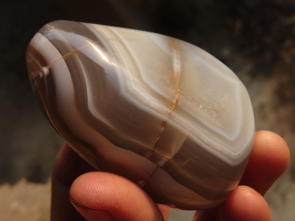 Polished Agate Standing Free Forms x 6 From Madagascar - Toprock Gemstones and Minerals 