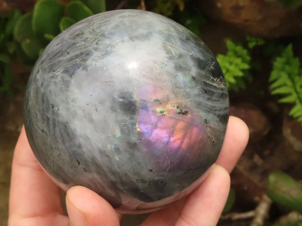 Polished Purple Flash Labradorite Spheres  x 2 From Tulear, Madagascar - TopRock