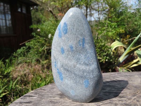 Polished Blue Spotted Spinel Dalmatian Stone Standing Free Form x 1 From Madagascar - TopRock