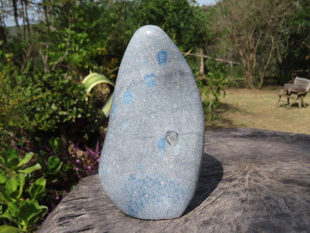 Polished Blue Spotted Spinel Dalmatian Stone Standing Free Form x 1 From Madagascar - TopRock