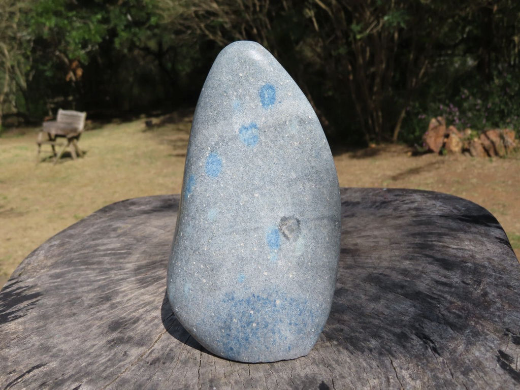 Polished Blue Spotted Spinel Dalmatian Stone Standing Free Form x 1 From Madagascar - TopRock