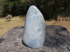 Polished Blue Spotted Spinel Dalmatian Stone Standing Free Form x 1 From Madagascar - TopRock