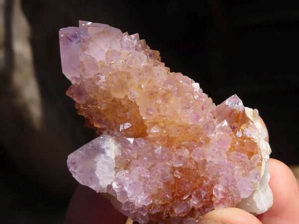 Natural Spirit Amethyst / Ametrine Quartz Clusters  x 12 From Boekenhouthoek, South Africa - Toprock Gemstones and Minerals 