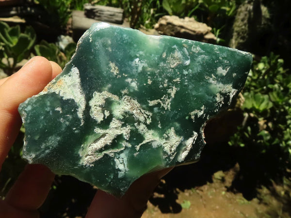 Natural Emerald Mtorolite / Chrome Chrysoprase Plates  x 12 From Mutorashanga, Zimbabwe - TopRock