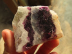 Polished Watermelon Fluorite Slices  x 12 From Namibia - Toprock Gemstones and Minerals 
