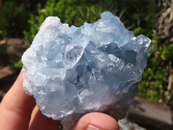 Natural Blue Celestite Crystal Specimens  x 8 From Sakoany, Madagascar - Toprock Gemstones and Minerals 
