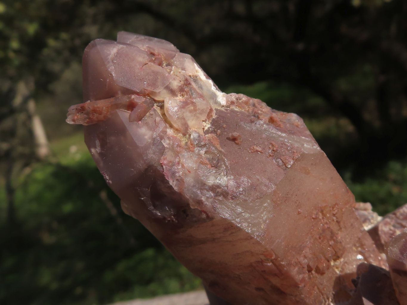 Natural Red Hematoid Phantom Quartz Clusters / Crystals  x 5 From Karoi, Zimbabwe - TopRock