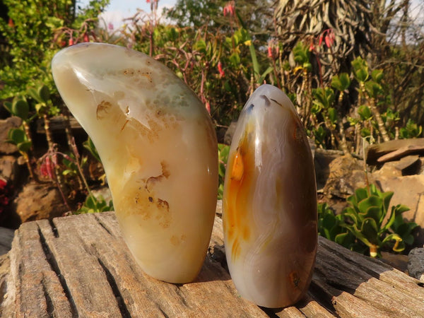 Polished Groovy Agate Standing Free Forms x 2 From Madagascar - Toprock Gemstones and Minerals 