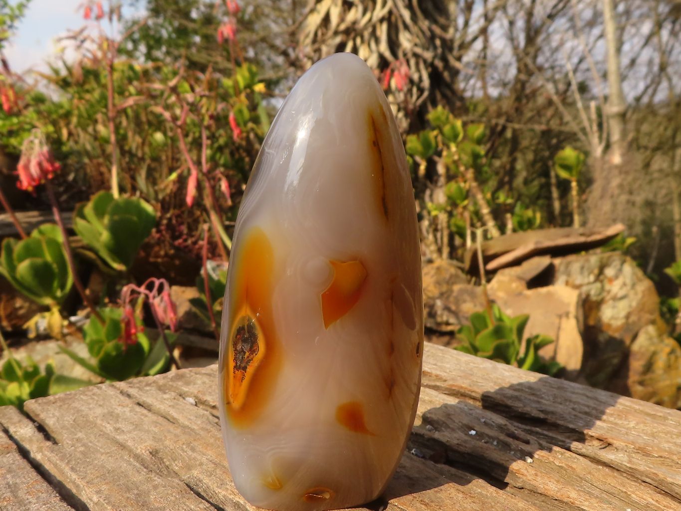 Polished Groovy Agate Standing Free Forms x 2 From Madagascar - Toprock Gemstones and Minerals 