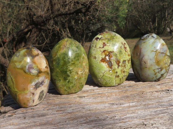 Polished Green Opal Standing Free Forms  x 4 From Antsirabe, Madagascar - TopRock