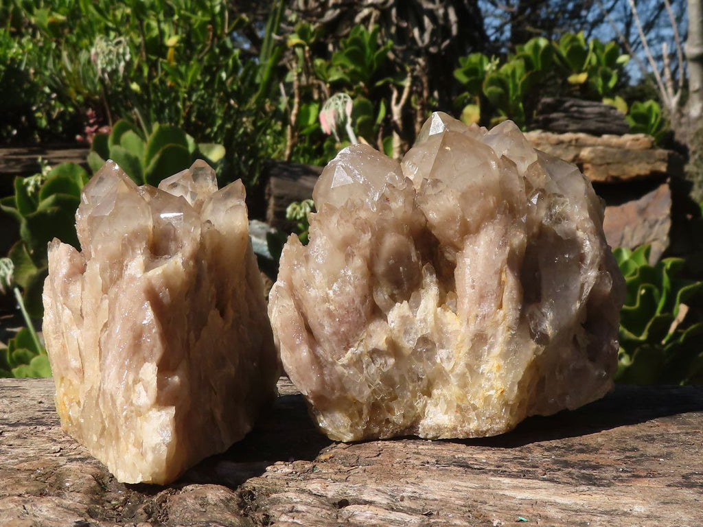 Natural White Phantom Smokey Quartz Clusters  x 2 From Luena, Congo - Toprock Gemstones and Minerals 