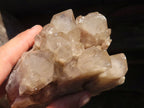 Natural White Phantom Smokey Quartz Clusters  x 2 From Luena, Congo - Toprock Gemstones and Minerals 