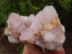 Natural Pale Spirit Ametrine Quartz Clusters  x 6 From Boekenhouthoek, South Africa - Toprock Gemstones and Minerals 