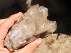 Natural White Phantom Smokey Quartz Clusters  x 2 From Luena, Congo - Toprock Gemstones and Minerals 