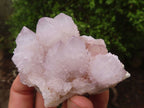 Natural Pale Spirit Ametrine Quartz Clusters  x 6 From Boekenhouthoek, South Africa - Toprock Gemstones and Minerals 