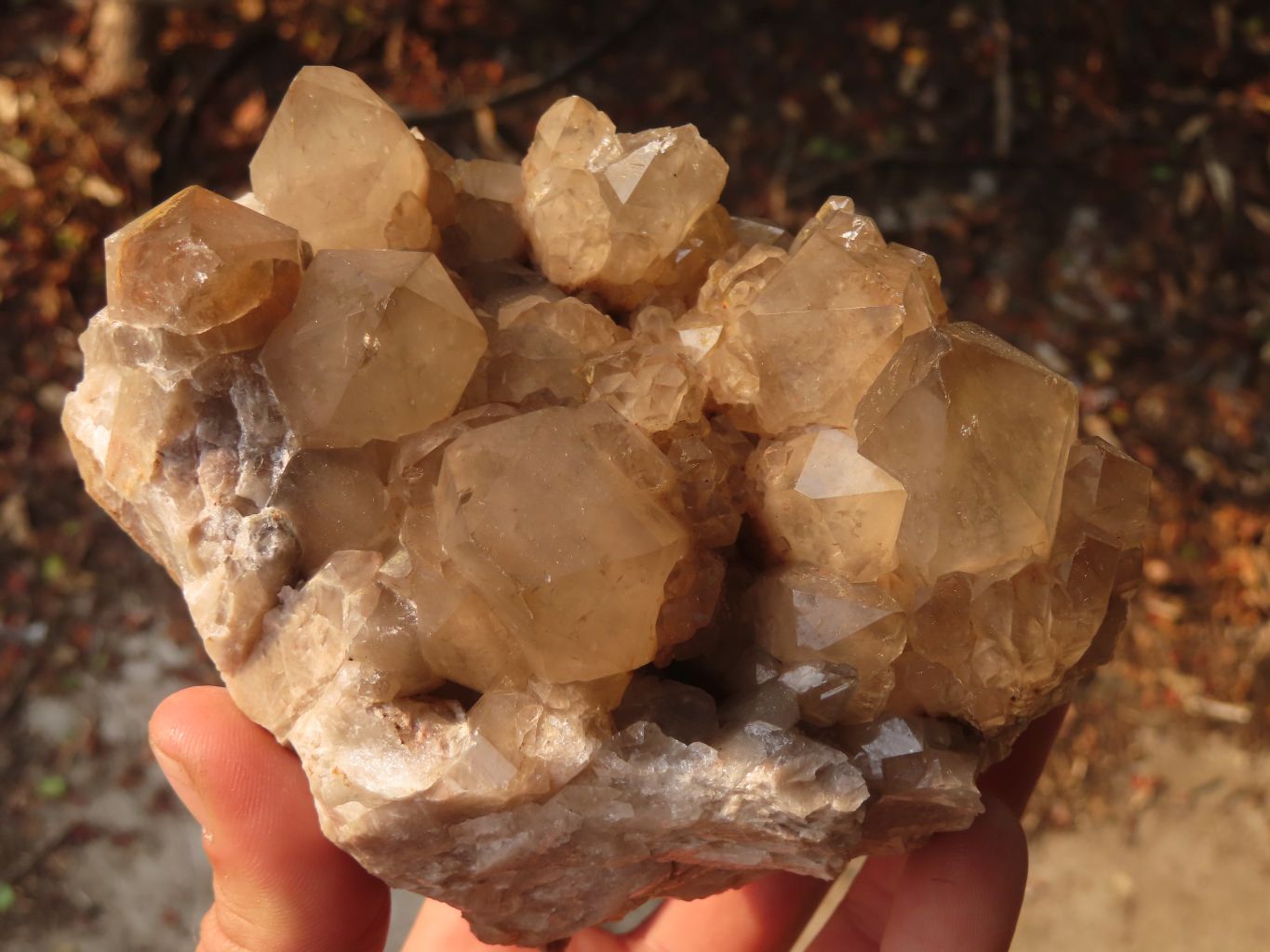 Natural Cascading White Phantom Smokey Quartz Clusters x 3 From Luena, Congo - Toprock Gemstones and Minerals 