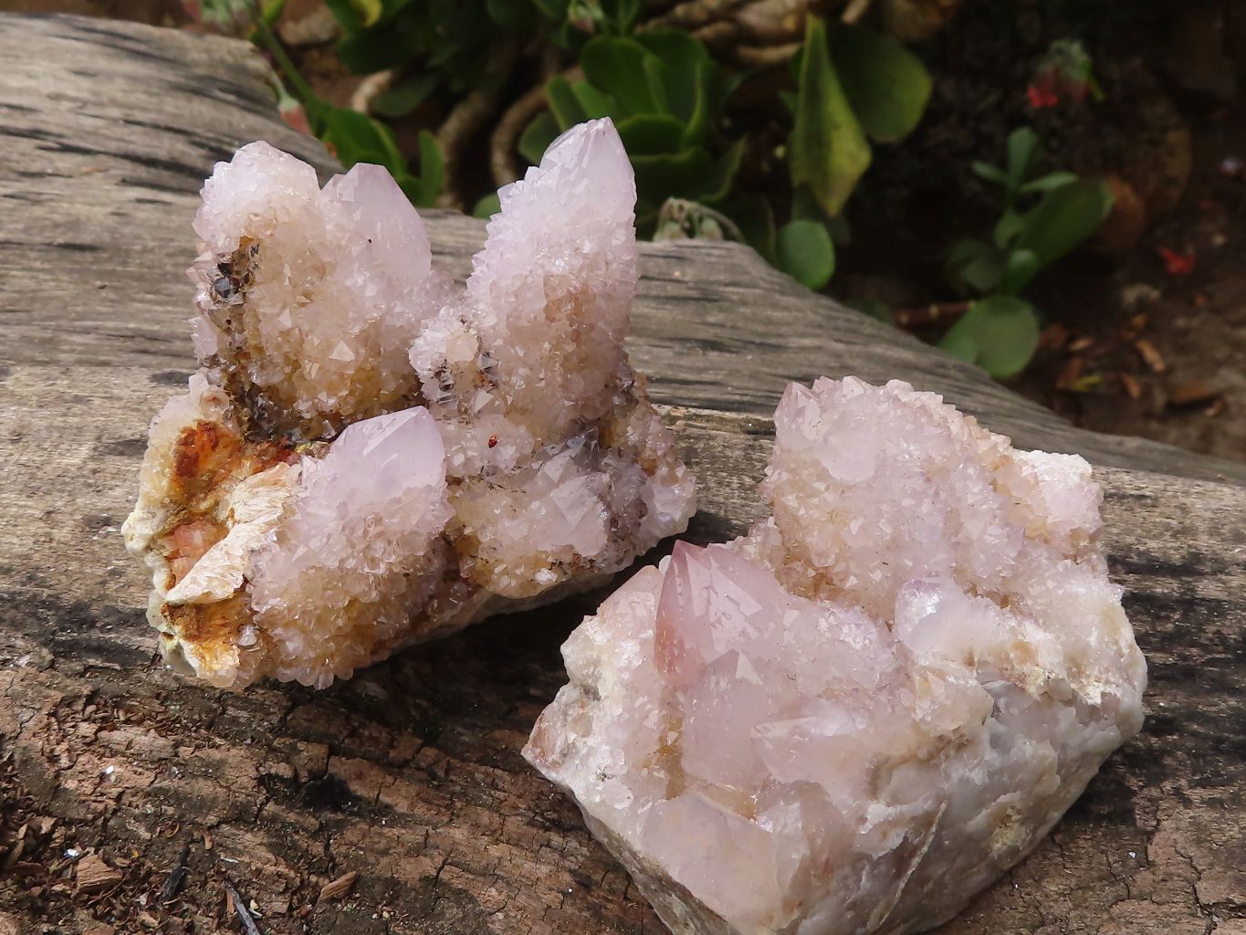 Natural Pale Spirit Ametrine Quartz Clusters  x 6 From Boekenhouthoek, South Africa - Toprock Gemstones and Minerals 