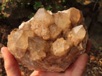 Natural Cascading White Phantom Smokey Quartz Clusters x 3 From Luena, Congo - Toprock Gemstones and Minerals 