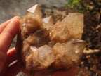 Natural Cascading White Phantom Smokey Quartz Clusters x 3 From Luena, Congo - Toprock Gemstones and Minerals 