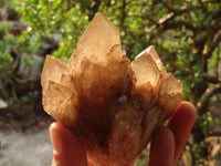 Natural Cascading White Phantom Smokey Quartz Clusters x 3 From Luena, Congo - Toprock Gemstones and Minerals 