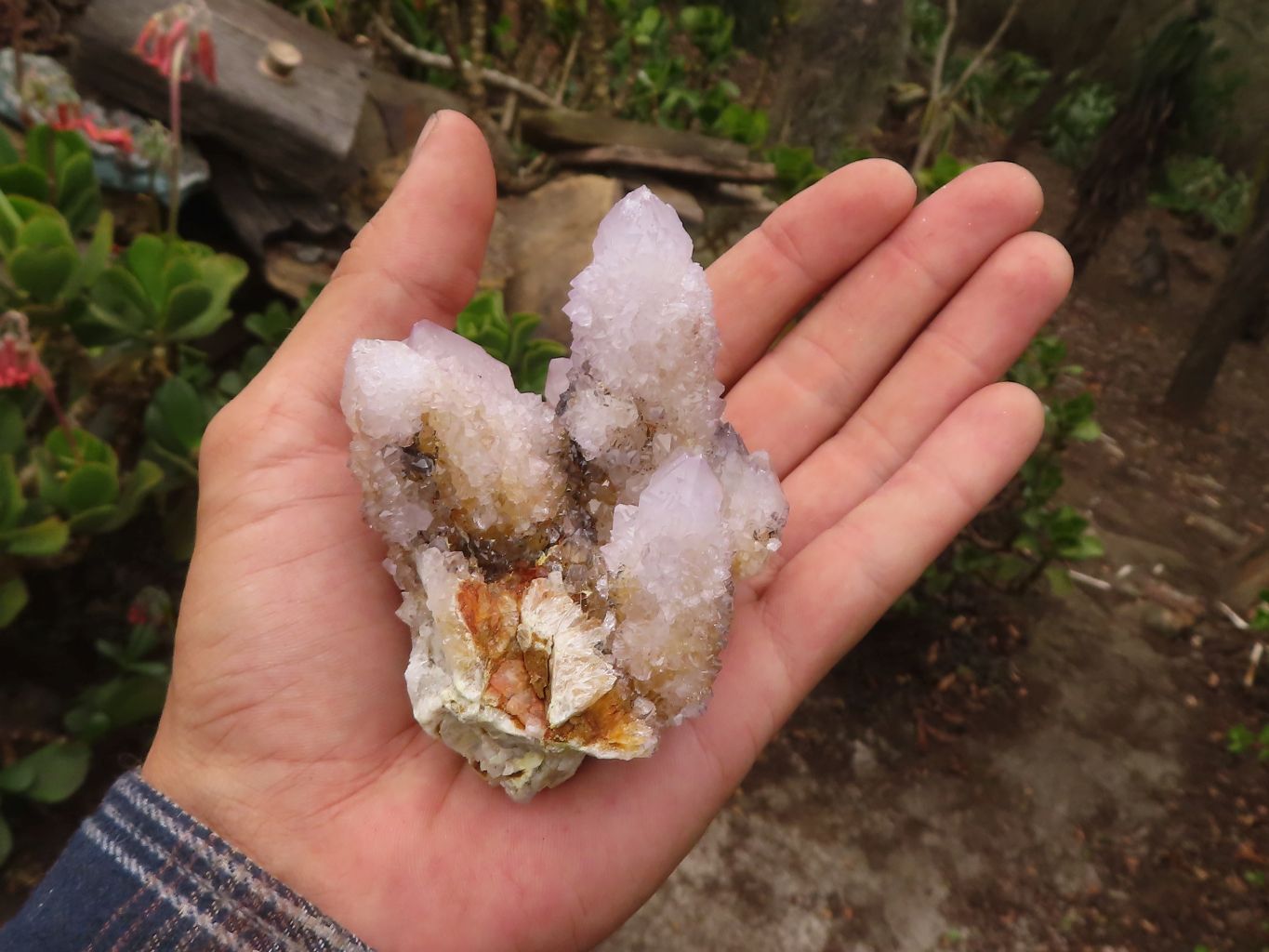 Natural Pale Spirit Ametrine Quartz Clusters  x 6 From Boekenhouthoek, South Africa - Toprock Gemstones and Minerals 