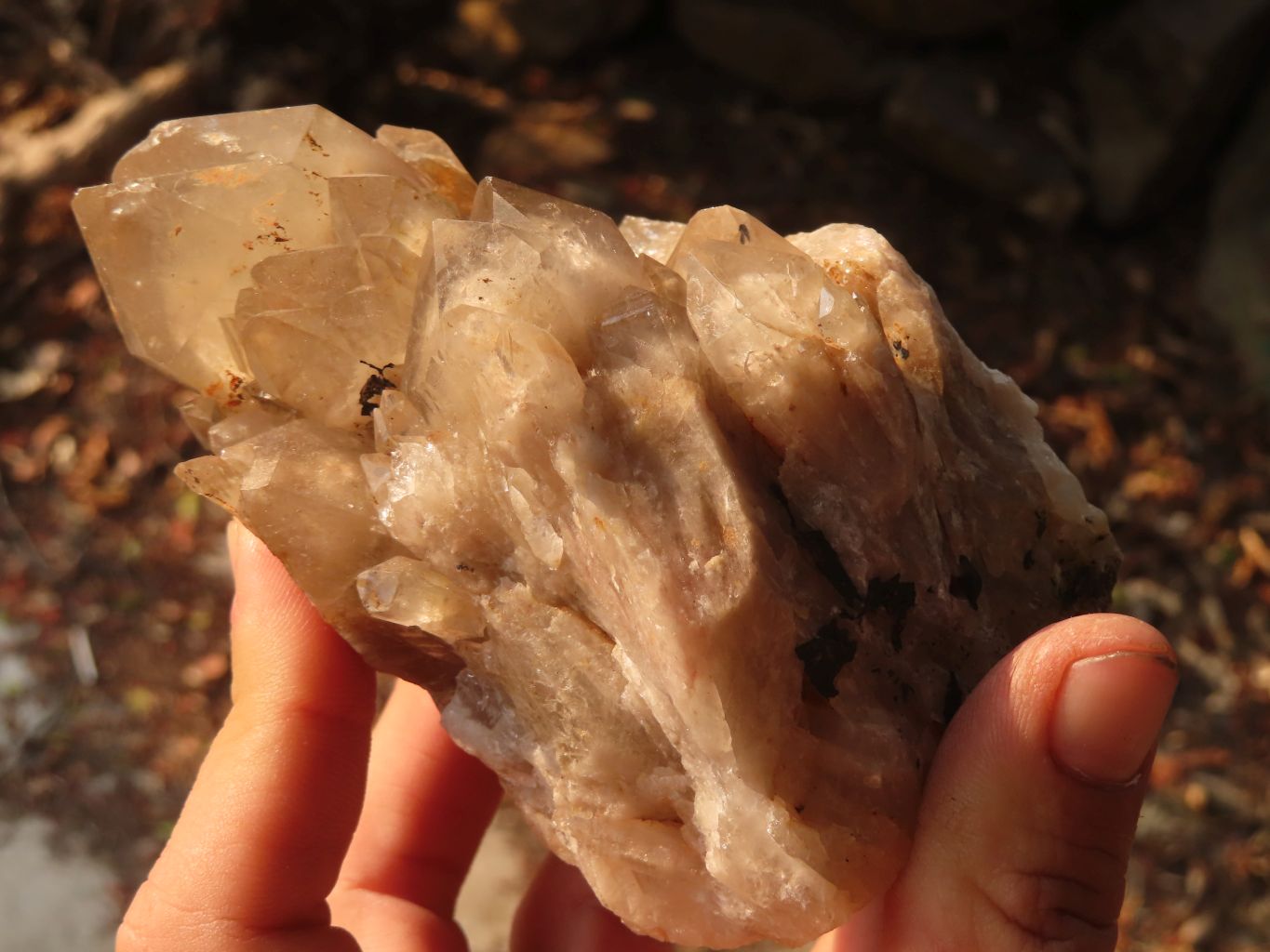 Natural Cascading White Phantom Smokey Quartz Clusters x 3 From Luena, Congo - Toprock Gemstones and Minerals 