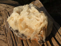 Natural Rare Large Bladed Barite Specimen x 1 From Congo - Toprock Gemstones and Minerals 