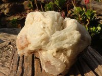 Natural Rare Large Bladed Barite Specimen x 1 From Congo - Toprock Gemstones and Minerals 