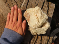 Natural Rare Large Bladed Barite Specimen x 1 From Congo - Toprock Gemstones and Minerals 