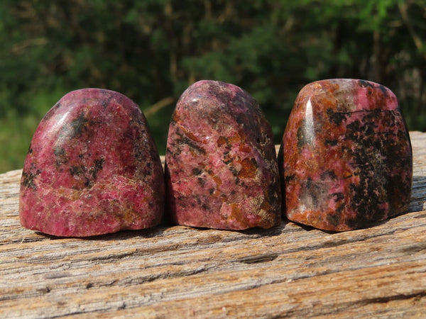 Polished Rhodonite Standing Free Forms & Free Forms x 12 From Zimbabwe - TopRock