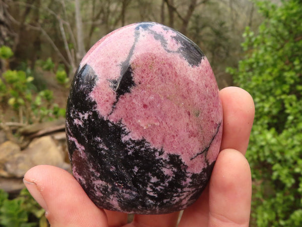 Polished Pink Rhodonite Standing Free Forms  x 4 From Madagascar - Toprock Gemstones and Minerals 