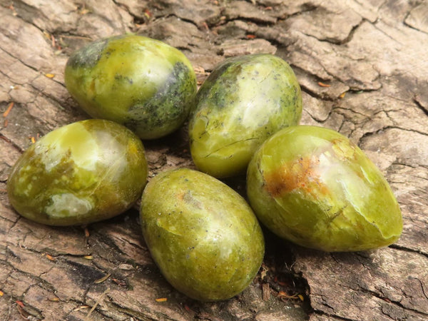 Polished Mini Green Opal Eggs  x 20 From Madagascar - TopRock
