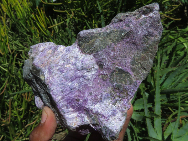 Natural Purple Stichtite & Green Serpentine Selected Extra Large Rough Pieces x 2 From Barberton, South Africa - TopRock