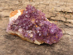 Natural Small Dark "Amethystos" Amethyst Clusters x 35 From Kwaggafontein, South Africa - TopRock