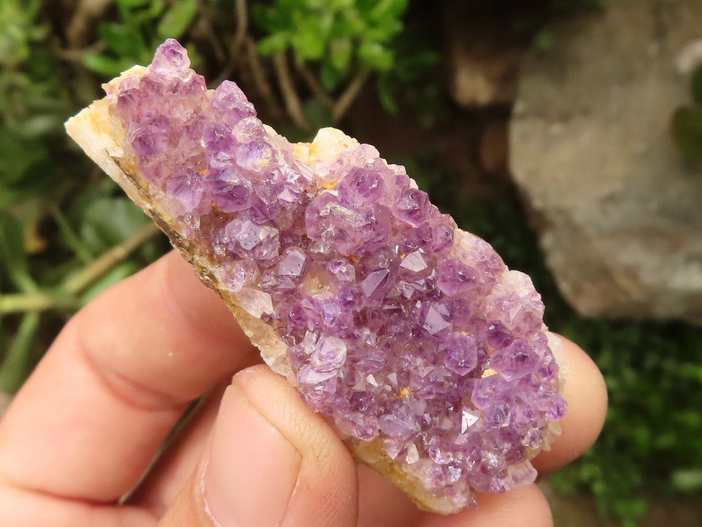 Natural Small Dark "Amethystos" Amethyst Clusters x 35 From Kwaggafontein, South Africa - TopRock