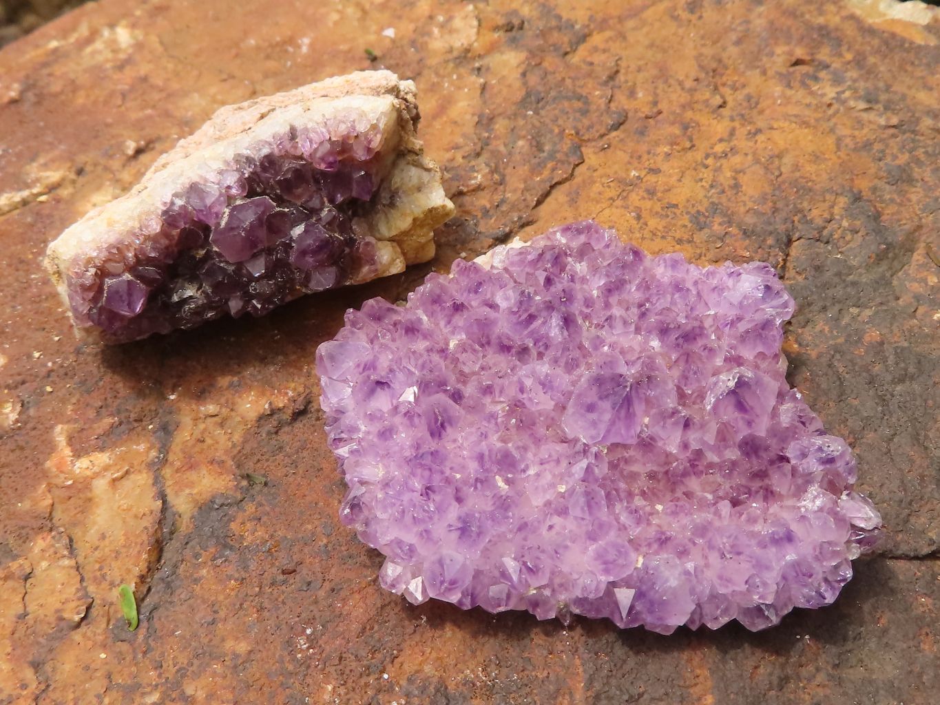 Natural Small Dark "Amethystos" Amethyst Clusters x 35 From Kwaggafontein, South Africa - TopRock