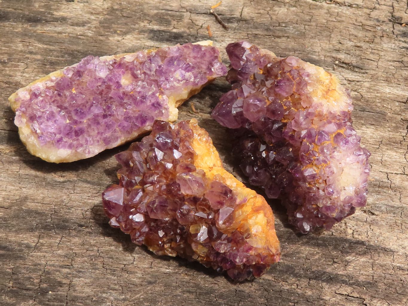 Natural Small Dark "Amethystos" Amethyst Clusters x 35 From Kwaggafontein, South Africa - TopRock