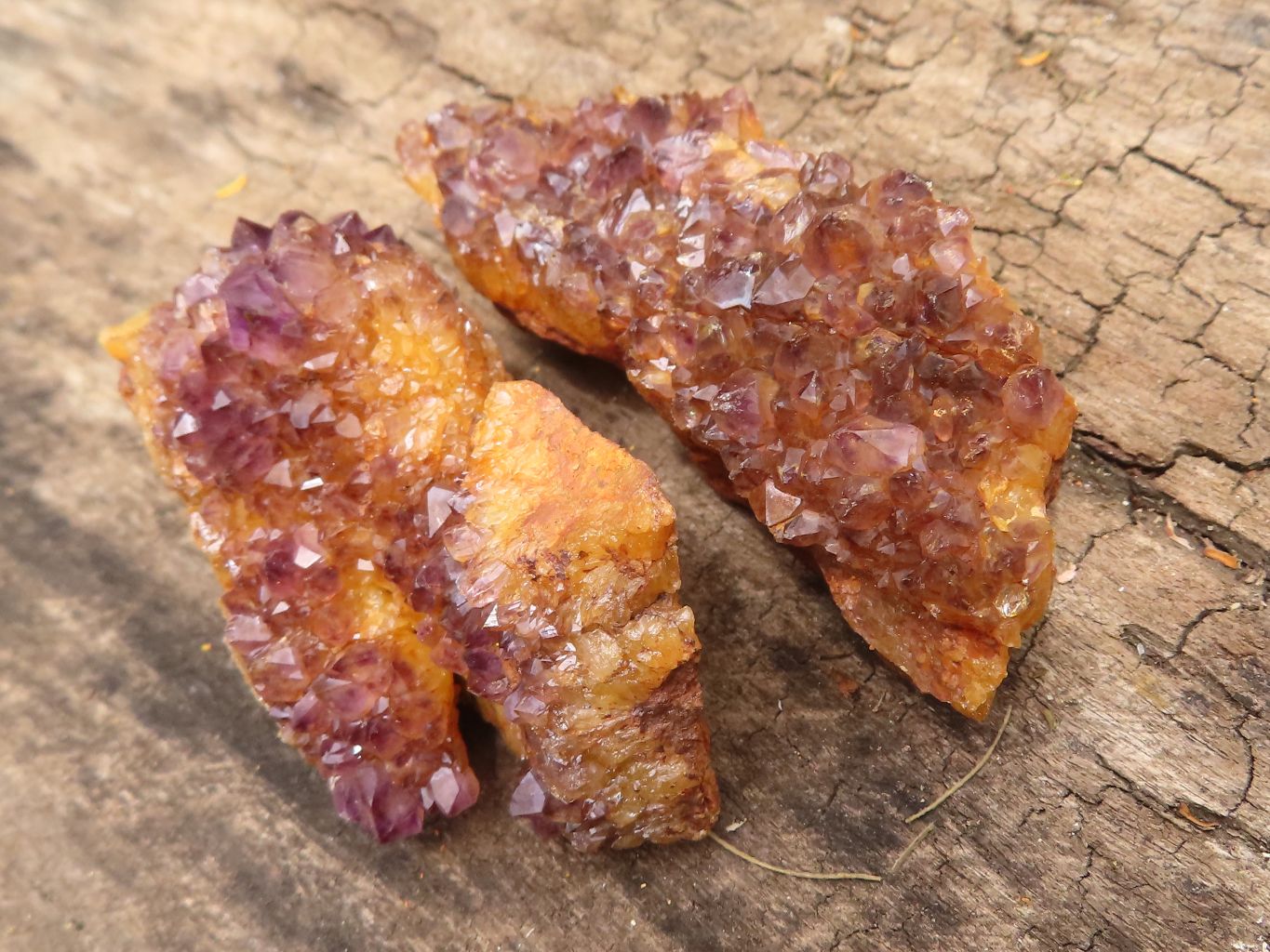 Natural Small Dark "Amethystos" Amethyst Clusters x 35 From Kwaggafontein, South Africa - TopRock